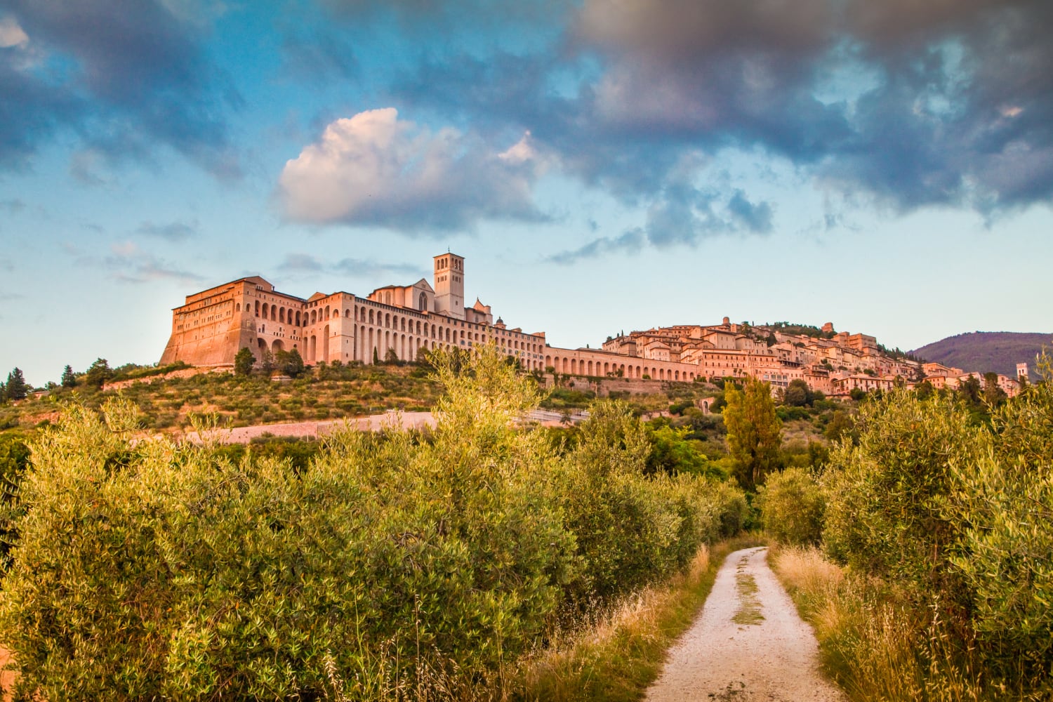 Assisi from the foot of the hill